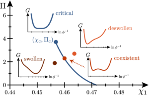 Paper figure: a phase diagram of neutral polymer gels showing distinct swollen and deswollen phases, along with conditions for coexistence and a critical point.