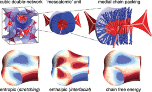 Renders showing the medial surfaces of a double gyroid with a single mesoatom unit pulled out and sliced open, revealing internal organization of polymer chains. Also shown: the intermaterial dividing surface, colored according to hot (red) and cold (blue) spots of chain streching costs, interfacial costs, and free energy per chain.